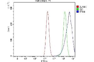 Flow Cytometry analysis of CACO-2 cells using anti-RTKN antibody (ABIN7600934).