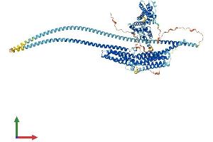 AlphaFold protein structure predicition of Mouse Recombinant Hip1r Protein, UniprotID Q9JKY5