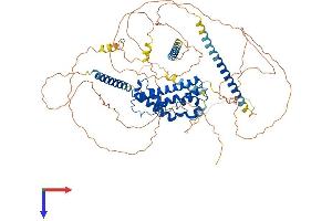 AlphaFold protein structure predicition of Human Recombinant PROX1 Protein, UniprotID Q92786