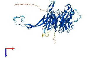 AlphaFold protein structure predicition of Human Recombinant PPP2R2C Protein, UniprotID Q9Y2T4