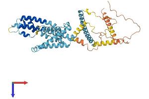 AlphaFold protein structure predicition of Mouse Recombinant Catsper4 Protein, UniprotID Q8BVN3