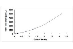 Typical standard curve (Cyclin Y Kit ELISA)