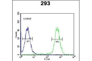 CSGALNACT2 Antibody (Center) (ABIN652723 and ABIN2842479) flow cytometric analysis of 293 cells (right histogram) compared to a negative control cell (left histogram). (CSGALNACT2 anticorps  (AA 200-229))