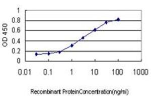 Detection limit for recombinant GST tagged BUB1B is approximately 0.