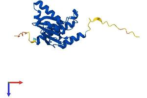 AlphaFold protein structure predicition of Mouse Recombinant Adat2 Protein, UniprotID Q6P6J0
