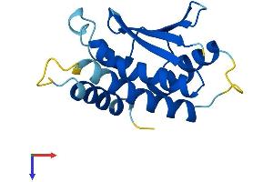 AlphaFold protein structure predicition of Mouse Recombinant Trappc6a Protein, UniprotID Q78XR0