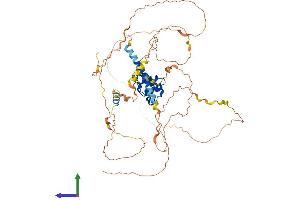 AlphaFold protein structure predicition of Mouse Recombinant Samd11 Protein, UniprotID Q1RNF8