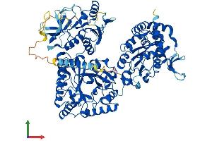 AlphaFold protein structure predicition of Mouse Recombinant Ndst3 Protein, UniprotID Q9EQH7