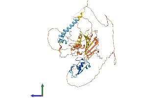 AlphaFold protein structure predicition of Mouse Recombinant Rlim Protein, UniprotID Q9WTV7