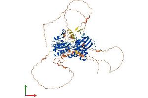 AlphaFold protein structure predicition of Mouse Recombinant Pip5k1c Protein, UniprotID O70161