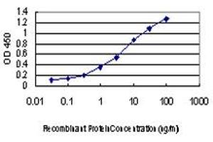 Detection limit for recombinant GST tagged PKN2 is approximately 0.