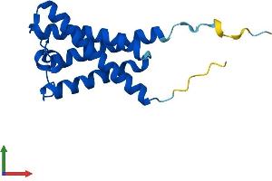 AlphaFold protein structure predicition of Human Recombinant SYS1 Protein, UniprotID Q8N2H4