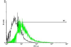 FACS analysis of negative control 293 cells (Black) and CACNG1 expressing 293 cells (Green) using CACNG1 purified MaxPab mouse polyclonal antibody.