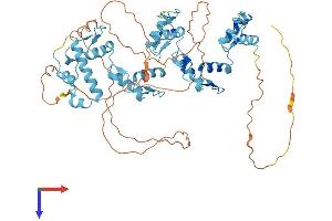 AlphaFold protein structure predicition of Human Recombinant ZNF324 Protein, UniprotID O75467