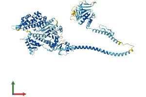 AlphaFold protein structure predicition of Mouse Recombinant Myo1a Protein, UniprotID O88329
