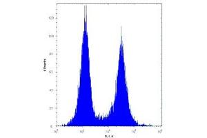 CD27 antibody flow cytometric analysis of Ramos cells (right histogram) compared to a negative control (left histogram).