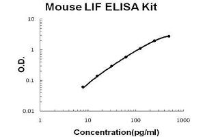 Mouse LIF PicoKine ELISA Kit standard curve (LIF Kit ELISA)