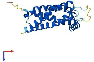 AlphaFold protein structure predicition of Mouse Recombinant Tmem97 Protein, UniprotID Q8VD00