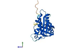AlphaFold protein structure predicition of Mouse Recombinant Med20 Protein, UniprotID Q9R0X0