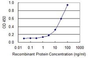 Detection limit for recombinant GST tagged TEX28 is 0. (TEX28 anticorps  (AA 1-410))