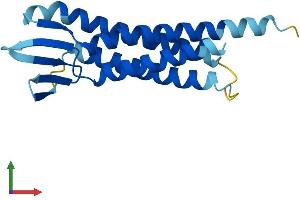 AlphaFold protein structure predicition of Mouse Recombinant Lim2 Protein, UniprotID P56563