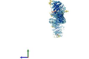 AlphaFold protein structure predicition of Mouse Recombinant Mroh2b Protein, UniprotID Q7M6Y6