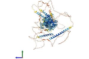 AlphaFold protein structure predicition of Human Recombinant SREBF1 Protein, UniprotID P36956