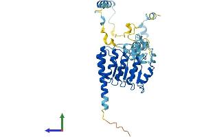 AlphaFold protein structure predicition of Human Recombinant TMOD1 Protein, UniprotID P28289