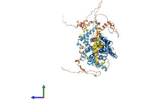 AlphaFold protein structure predicition of Human Recombinant SLC9A3 Protein, UniprotID P48764