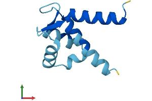 AlphaFold protein structure predicition of Mouse Recombinant S100a6 Protein, UniprotID P14069