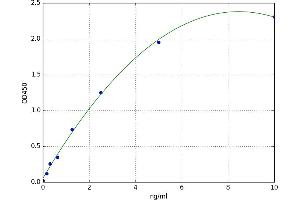 Mesothelin (MSLN) ELISA Kit