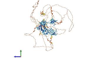 AlphaFold protein structure predicition of Human Recombinant SH3PXD2B Protein, UniprotID A1X283
