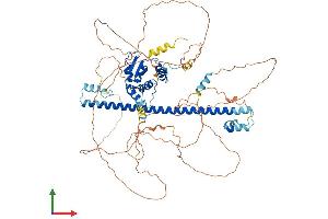 AlphaFold protein structure predicition of Mouse Recombinant Bach1 Protein, UniprotID P97302