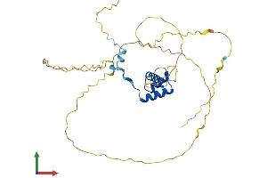AlphaFold protein structure predicition of Mouse Recombinant Nkx1-2 Protein, UniprotID P42580