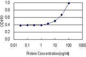 Sandwich ELISA detection sensitivity ranging from 3 ng/mL to 100 ng/mL. (FOXP3 (Humain) Matched Antibody Pair)