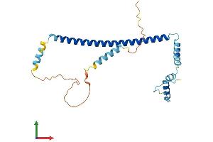 AlphaFold protein structure predicition of Mouse Recombinant Cltb Protein, UniprotID Q6IRU5