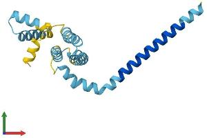AlphaFold protein structure predicition of Mouse Recombinant Reep5 Protein, UniprotID Q60870