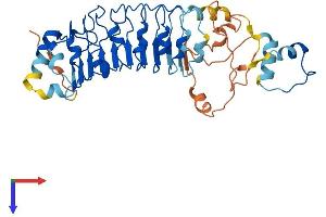 Leucine Rich Repeat Containing 58 (LRRC58) (AA 1-371) protein (His tag)