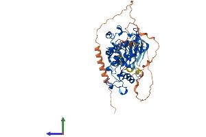 AlphaFold protein structure predicition of Mouse Recombinant Cdk14 Protein, UniprotID O35495