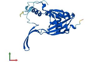 AlphaFold protein structure predicition of Mouse Recombinant Nudt14 Protein, UniprotID Q9D142