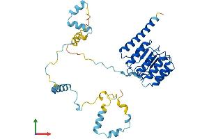 AlphaFold protein structure predicition of Human Recombinant TMOD3 Protein, UniprotID Q9NYL9