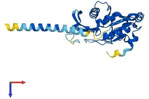 AlphaFold protein structure predicition of Mouse Recombinant Ctdnep1 Protein, UniprotID Q3TP92