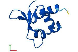 AlphaFold protein structure predicition of Mouse Recombinant Abracl Protein, UniprotID Q4KML4