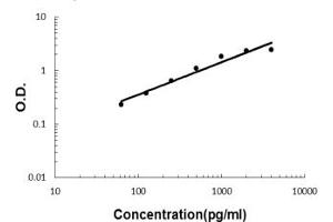 Sandwich ELISA - Recombinant human IL32 protein standard curve.