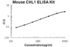 Mouse CHL1/L1CAM-2 PicoKine ELISA Kit standard curve