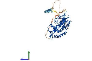 AlphaFold protein structure predicition of Mouse Recombinant Hs3st3b1 Protein, UniprotID Q9QZS6