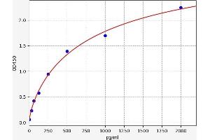 Typical standard curve (FLT3LG Kit ELISA)