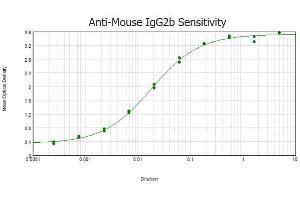 ELISA results of purified Rabbit anti-Mouse IgG2b (Gamma 2B Chain) antibody tested against purified Mouse IgG2b. (Lapin anti-Souris IgG2b (Heavy Chain) Anticorps - Preadsorbed)