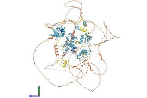 AlphaFold protein structure predicition of Mouse Recombinant Zfpm1 Protein, UniprotID O35615