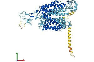 AlphaFold protein structure predicition of Mouse Recombinant Slc22a6 Protein, UniprotID Q8VC69